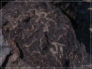 Antelope Hill Petroglyphs