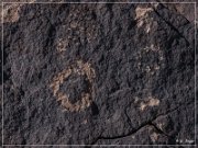 Antelope Hill Petroglyphs