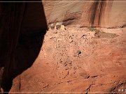 Canyon de Chelly NM