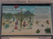 Casa Grande Ruins NM