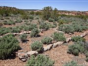 Kinlichee Navajo Tribal Park