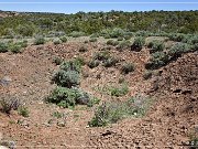 Kinlichee Navajo Tribal Park