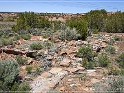 Kinlichee Navajo Tribal Park