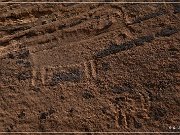 Little Black Mountain Petroglyphs