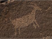 Little Black Mountain Petroglyphs