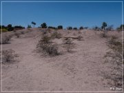 Mesa Grande Ruins