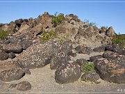 Painted Rock Petroglyph Site