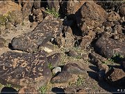 Painted Rock Petroglyph Site