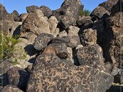 Painted Rock Petroglyph Site