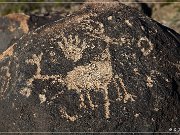 Painted Rock Petroglyph Site