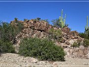 Picture Rocks Petroglyphs