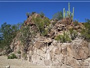 Picture Rocks Petroglyphs