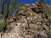 Picture Rocks Petroglyphs