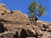 Picture Rocks Petroglyphs