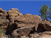 Picture Rocks Petroglyphs