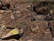 Picture Rocks Petroglyphs