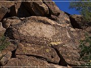 Picture Rocks Petroglyphs