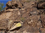 Picture Rocks Petroglyphs