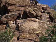 Picture Rocks Petroglyphs