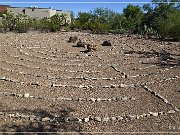 Picture Rocks Petroglyphs