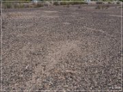 Quartzsite Geoglyphs