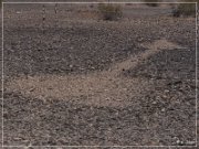 Quartzsite Geoglyphs