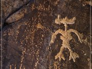 Rock Art Ranch - Petroglyphs