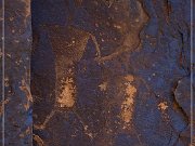 Rock Art Ranch - Petroglyphs