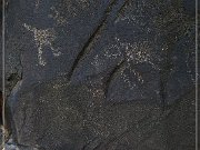 Sears Point Petroglyphs