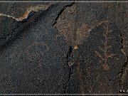 Sears Point Petroglyphs