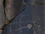 Sears Point Petroglyphs