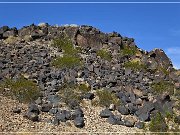 Sears Point Petroglyphs