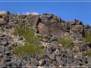 Sears Point Petroglyphs