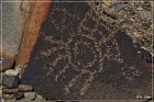 Sears Point Petroglyphs