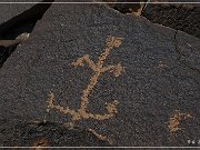 Sears Point Petroglyphs