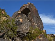 Sears Point Petroglyphs