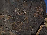 Sears Point Petroglyphs