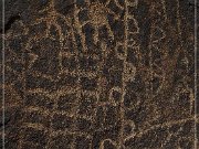 Sears Point Petroglyphs