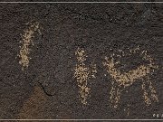 Sears Point Petroglyphs