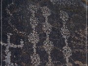 Sears Point Petroglyphs