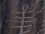 Sears Point Petroglyphs