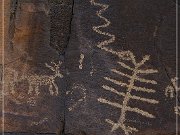 Sears Point Petroglyphs