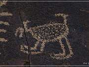 Sears Point Petroglyphs