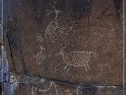 Sears Point Petroglyphs