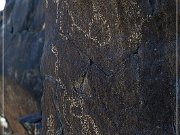 Sears Point Petroglyphs