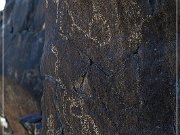 Sears Point Petroglyphs