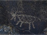 Sears Point Petroglyphs