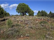 Shoofly Indian Ruins