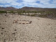 Snake Geoglyph