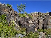 Springerville Petroglyphs